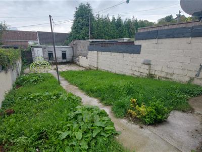 Picture 15